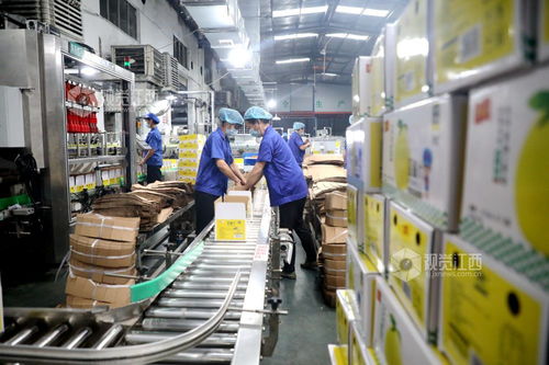 峽江食品企業 產銷兩旺與綠化服務協同發展