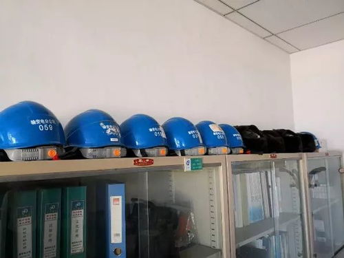 第十期暖心行動 團組織綠化服務點亮美好社區